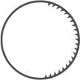 cog2